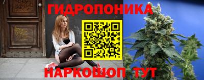 крисы Берёзовский
