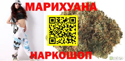 сатива Бийск