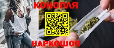 сатива Бийск