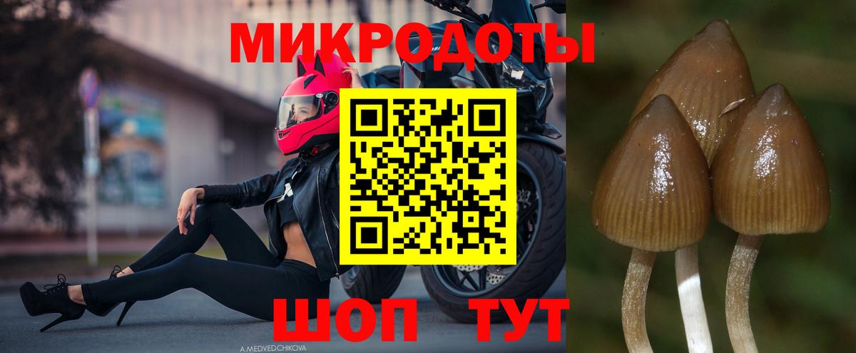 Псилоцибиновые грибы GOLDEN TEACHER Златоуст